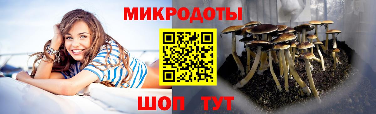 Псилоцибиновые грибы Magic Shrooms  Вход с VPN  Гусь-Хрустальный 